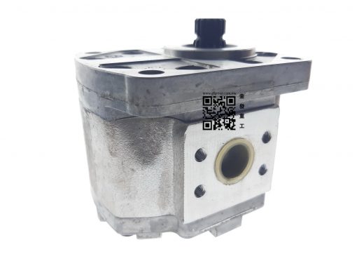 GN208IXAL | GEAR PUMP (LAST SECTION)