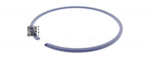 303-24494000 | PTO,RING PISTON