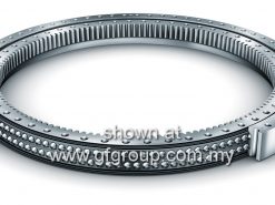 24100N4837F1 SWING BEARING