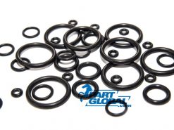 IBG55TX3.1 ORING